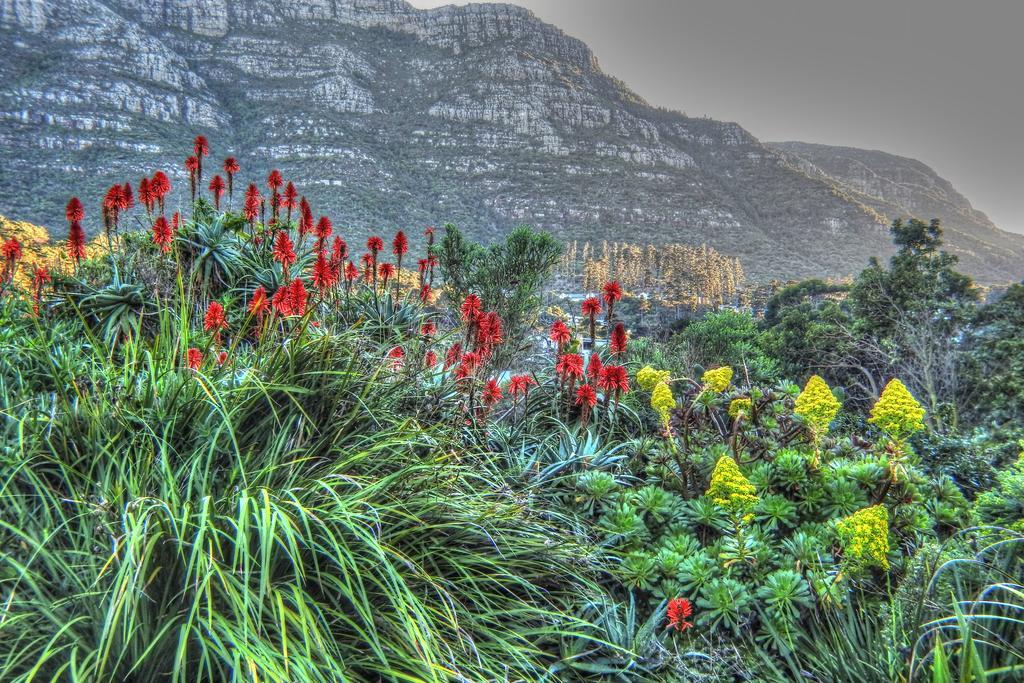 Kairos Lodge Hout Bay Bagian luar foto
